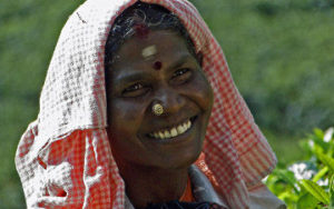 femme dans une plantation en Inde