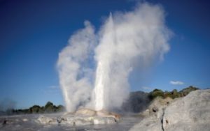 Whakarewarewa Thermal Geyser en Nouvelle-Zélande