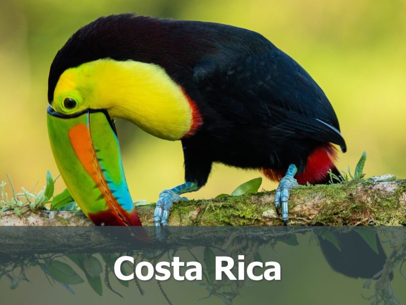 Voyage au Costa Rica sur-mesure