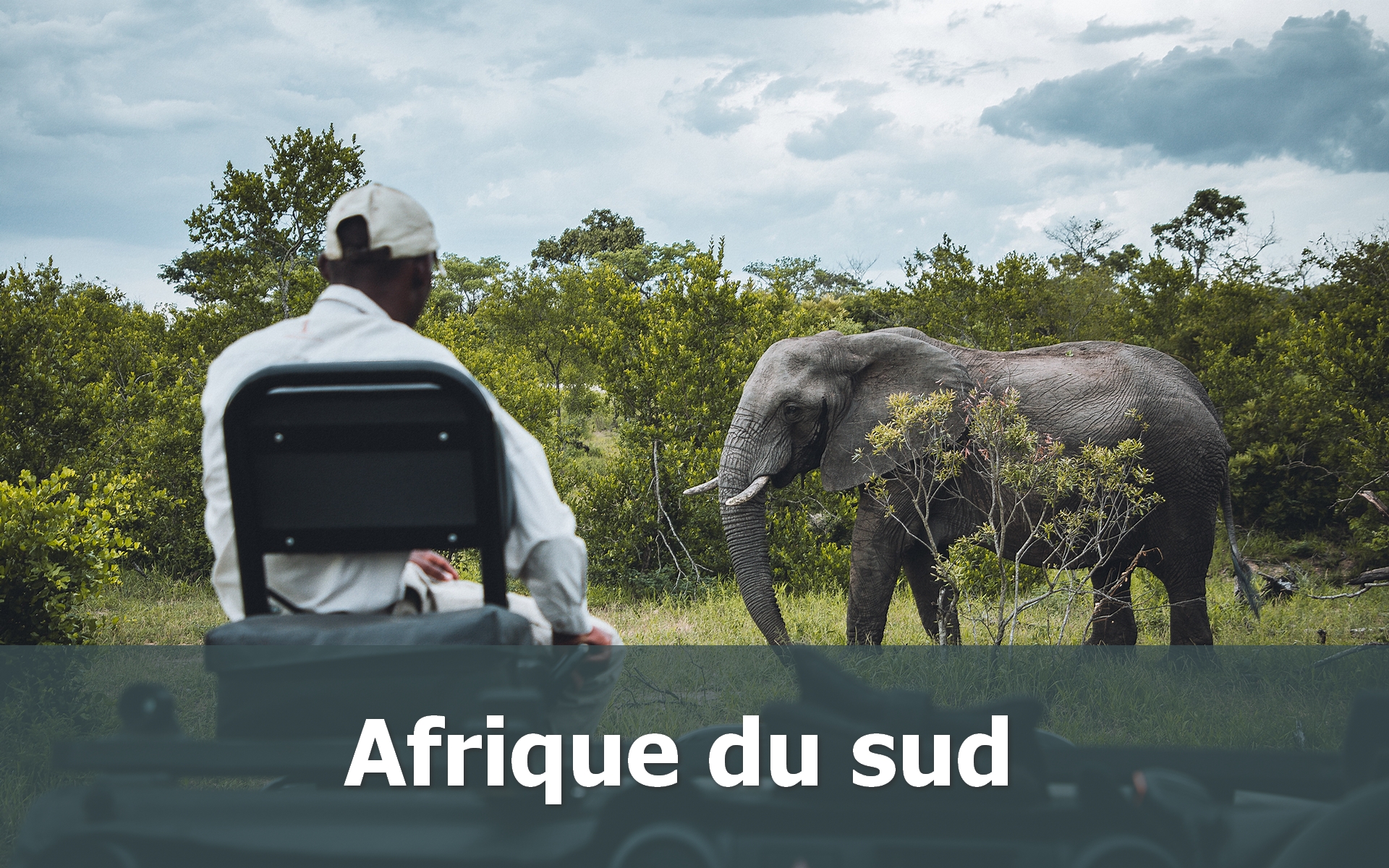 Voyage en Adrique du sud sur-mesure safari