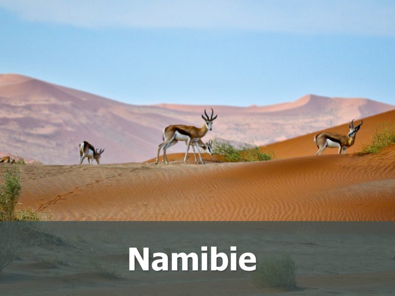 Voyage en Namibie sur-mesure désert