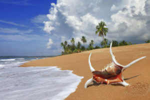 Plage au Sri Lanka