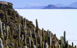 Desert Uyuni en Bolivie