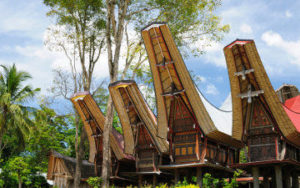 Maison à Toraja en Indonésie