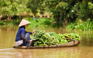 Marche flottant Mekong au Vietnam