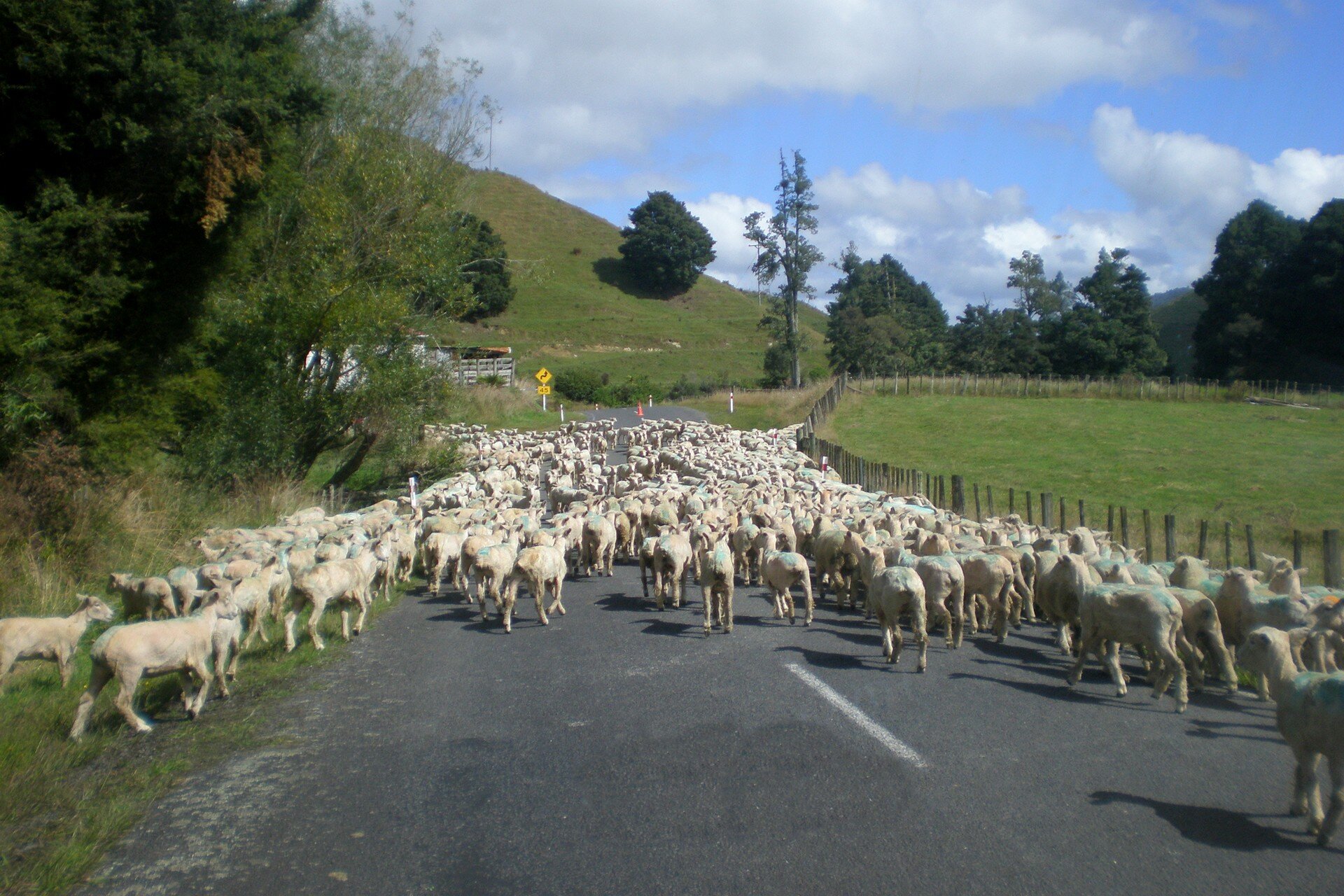 nouvelle-zélande road-trip autotour