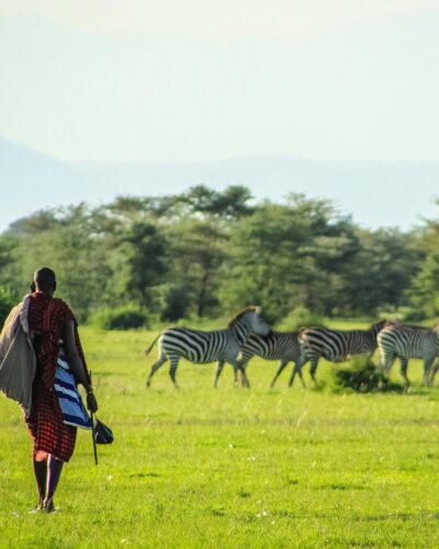 pexels-chomolla-2343011