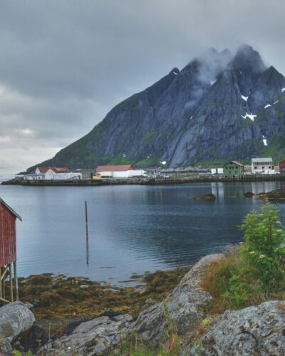 pexels-monicore-141876