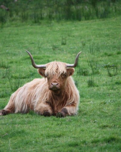 pexels-trina-222544-705405