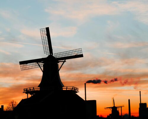 pexels-vitorbuchele-29836380