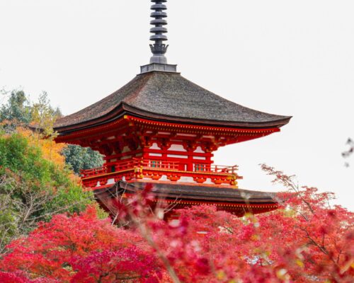 pexels-emiliano-lara-2150347322-35553815