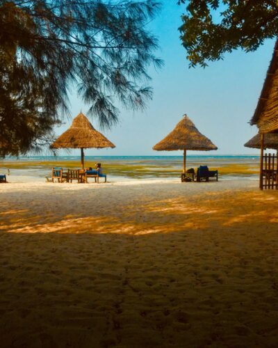 pexels-manuel-1422884-2949825