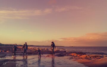 pexels-raybilcliff-1509757