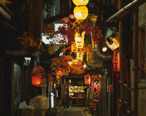 pexels-ryutaro-5745029