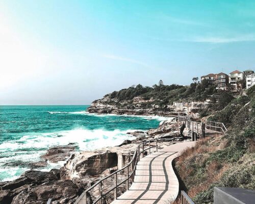 pexels-vince-2265880